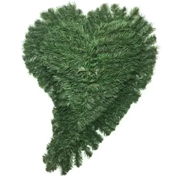 Srdce zahnuté veľké